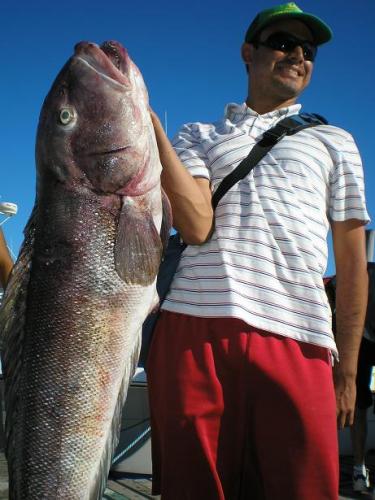 GIGANTES DEL MAR